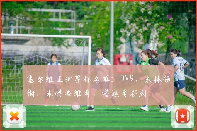 塞尔维亚世界杯名单：DV9、米林领衔，米特洛维奇、塔迪奇在列