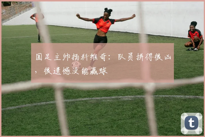 国足主帅扬科维奇：队员拼得很凶，很遗憾没能赢球