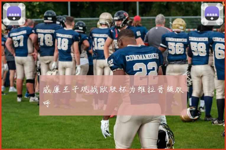 威廉王子观战欧联杯为维拉晋级欢呼