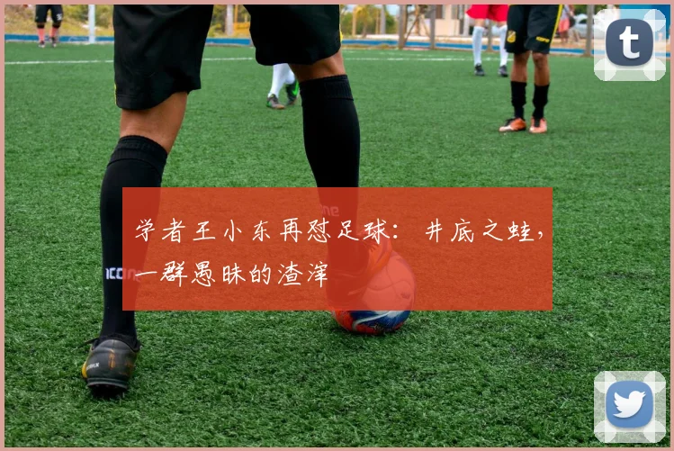 学者王小东再怼足球：井底之蛙，一群愚昧的渣滓