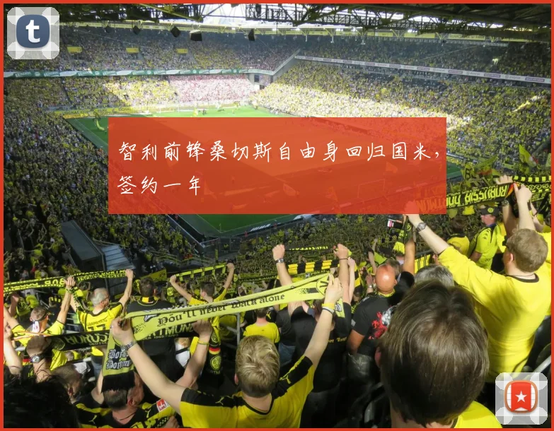 智利前锋桑切斯自由身回归国米，签约一年
