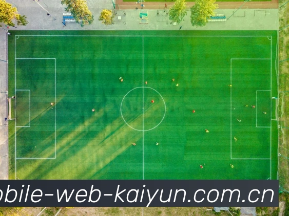 开云(kaiyun)全站App